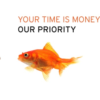 PAYDAY Workforce Solutions - Payroll Services Near Me - Orange, California PAYDAY Workforce Solutions - Payroll Services Near Me - Orange, California