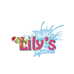 Lily's SoftWash