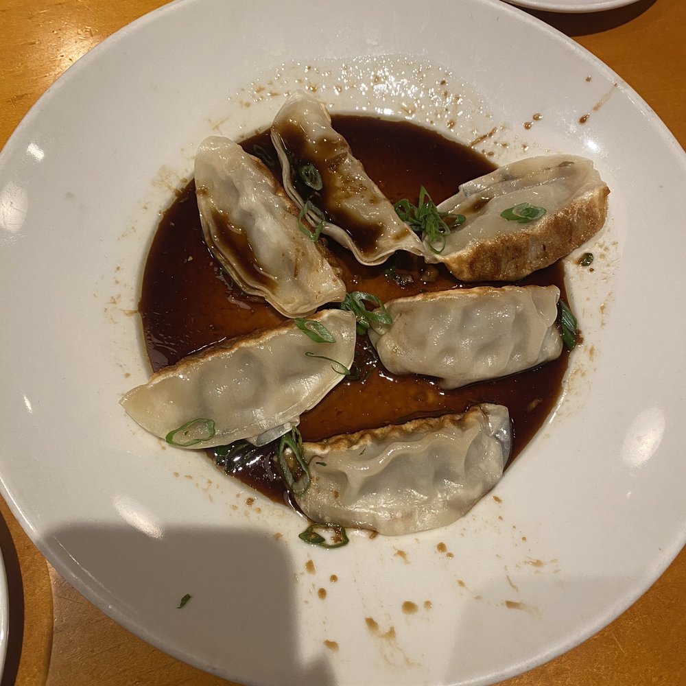Chicken Dumplings