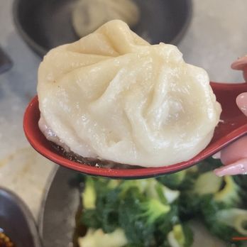 Mason's Dumpling Shop - Aurora - One of only a few soup dumplings that actually had soup in it. But it was tasty!! - Chinese Near Me - Aurora, Colorado Mason's Dumpling Shop - Aurora - One of only a few soup dumplings that actually had soup in it. But it was tasty!! - Chinese Near Me - Aurora, Colorado