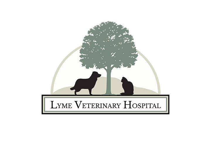 LYME VETERINARY HOSPITAL Updated October 2024 48 High St, Lyme, New
