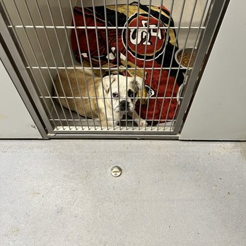 Stanislaus Animal Services Agency - Animal Shelters Near Me - Modesto, California