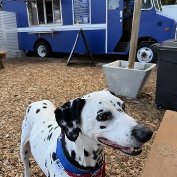 Diggy Dogs - The Diggiest Diggy Dog that ever Dig Dogged - Hot Dogs Near Me - Tampa, Florida