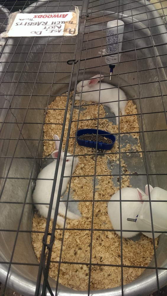 ATWOODS Updated June 2024 1121 S Rogers St, Clarksville, Arkansas