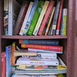 Betsy Youngblood Little Free Library - Betsy Youngblood Little Free Library, 1321 Sycamore Dr, Garner