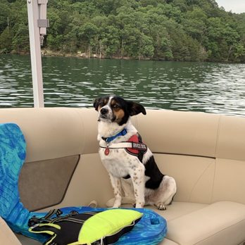 All ‘Bout Water LLC. - Boat Repair Near Me All ‘Bout Water LLC. - Boat Repair Near Me