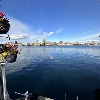 Fishermans Wharf - Landmarks & Historical Buildings Near Me - Victoria, British Columbia
