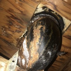 Mitchell Family Plumbing