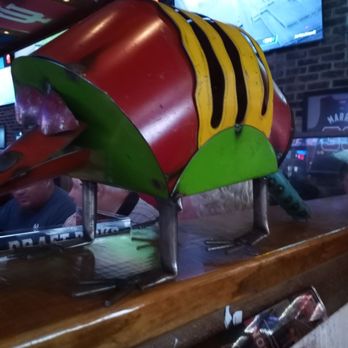 Bubba's 33 - Friendly armadillo - Pizza Near Me - Clarksville, Indiana Bubba's 33 - Friendly armadillo - Pizza Near Me - Clarksville, Indiana
