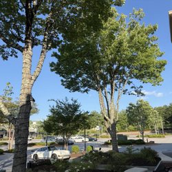 Avenue East Cobb