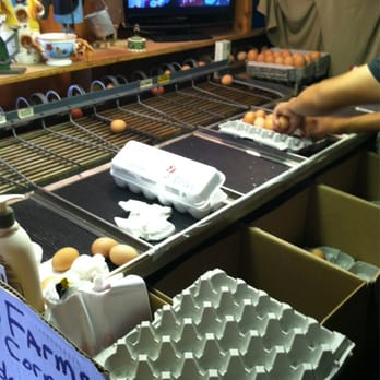 Stamp Egg Farms - Egg sorter - Farmers Market Near Me - Johnston, Rhode Island