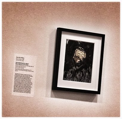 Eskenazi Museum of Art by null