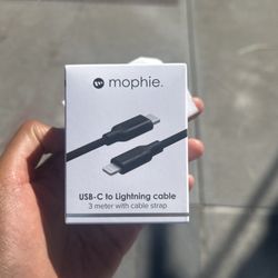 Apple - Detroit - Morphie product