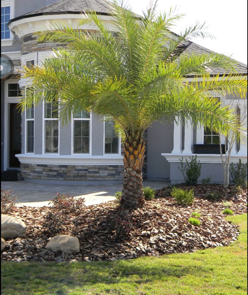 KENDRICK READY TO HELP Request a Quote Gainesville, Florida Lawn