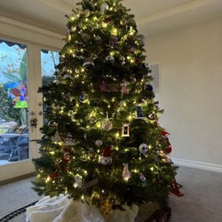 Old Red Christmas Tree Farm