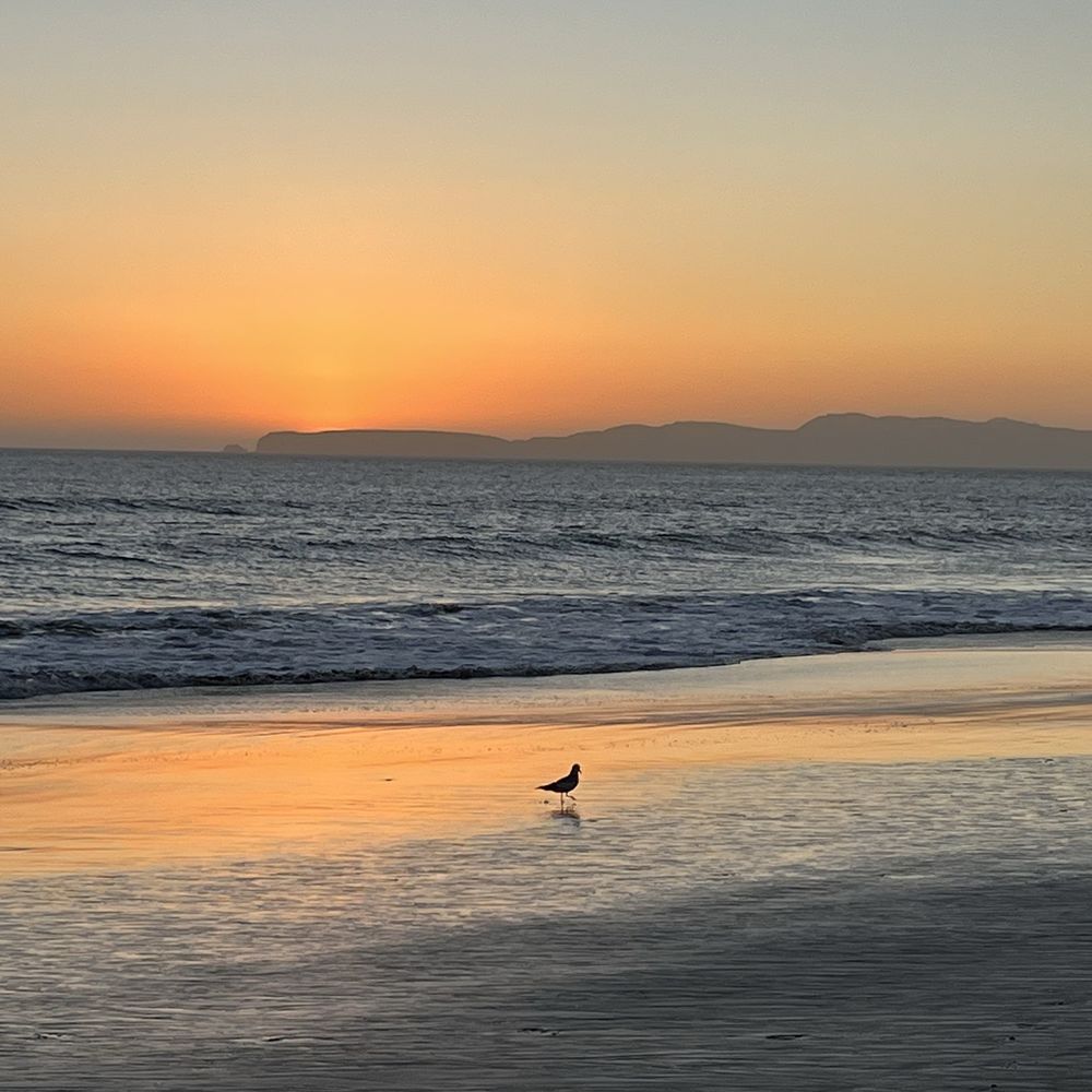 Limantour Beach - Sunset over point Reyes - Beaches Near Me - Point Reyes Station, California Limantour Beach - Sunset over point Reyes - Beaches Near Me - Point Reyes Station, California