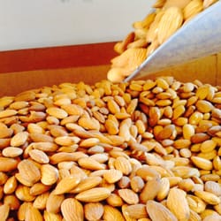 Jacob's Produce - Local Raw Almonds
available year round