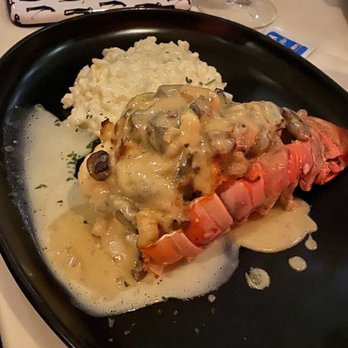 Fugato - Lobster Thermidor - Mediterranean Near Me - Coral Gables, Florida Fugato - Lobster Thermidor - Mediterranean Near Me - Coral Gables, Florida