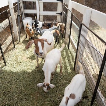 My Ranch - MyRanch - Venues & Event Spaces Near Me
