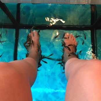 Fish Therapy - Fishes eating away! - Day Spas Near Me - San José del Cabo, BCS Fish Therapy - Fishes eating away! - Day Spas Near Me - San José del Cabo, BCS