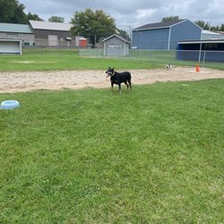 Sparta Buth Field Dog Park