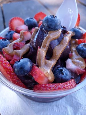 Tropical Berry Kenmore by null