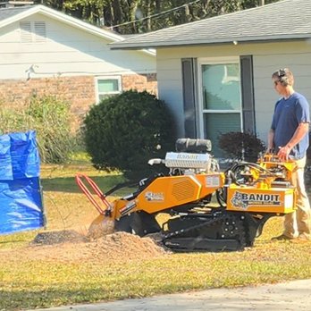Springs County Stump Grinders - Tree Services Near Me Springs County Stump Grinders - Tree Services Near Me
