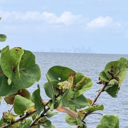 Biscayne National Park