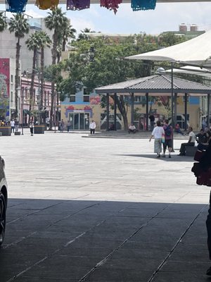 Plaza Garibaldi by null