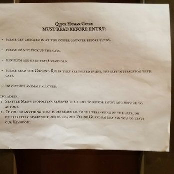 Seattle Meowtropolitan - The rules - Themed Cafes Near Me - Seattle, Washington Seattle Meowtropolitan - The rules - Themed Cafes Near Me - Seattle, Washington