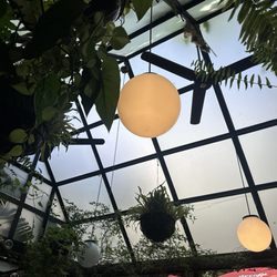 Peligro - Inside restaurant