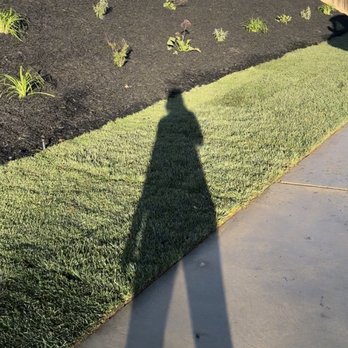 Monte Cielo Landscape - Front yard slope - Landscaping Near Me