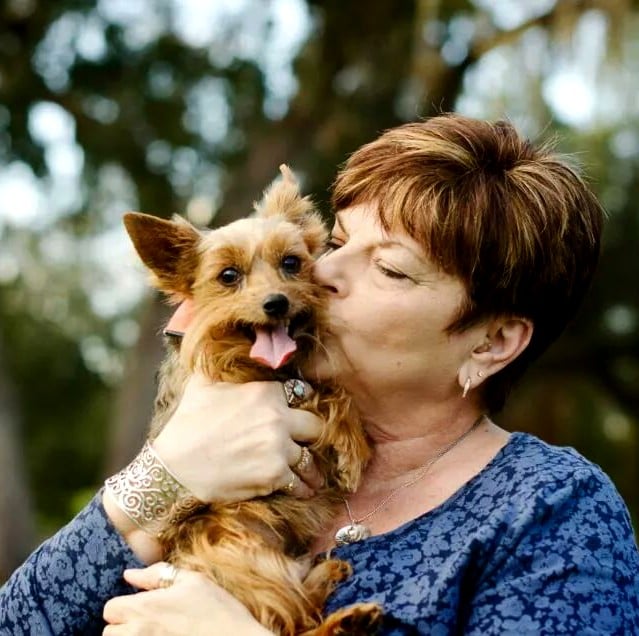 Fort Meade Animal Clinic Image