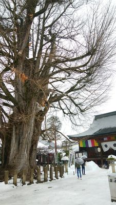 Hida Kokubun-ji Temple by null