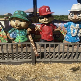 Nick and Ray’s Pumpkin Patch - Attraction Farms Near Me - Sacramento, California
