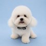 Blue Ribbon Pet Grooming
