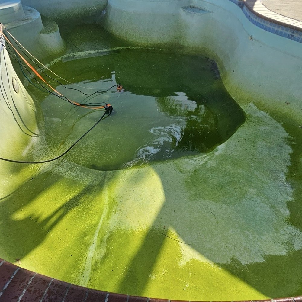 Don Perfecto Pool Service - Before - Pool Cleaners Near Me