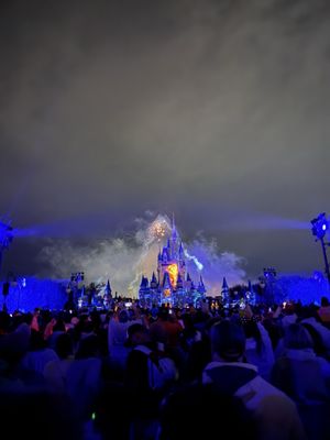 Cinderella Castle by null