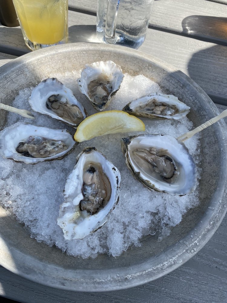 Half dozen Maine oysters Yelp