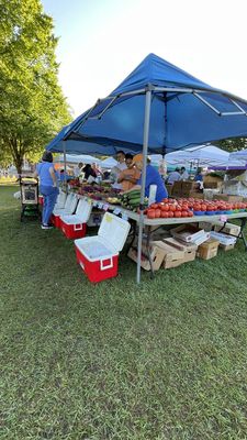 Tallahassee Farmers' Market by null