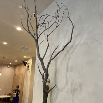 Teazzi Tea Shop - Decor - Bubble Tea Near Me - Monterey Park, California