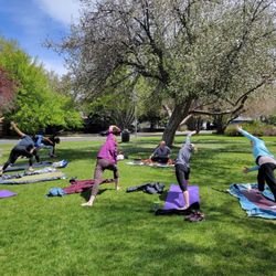Yoga in the Yard