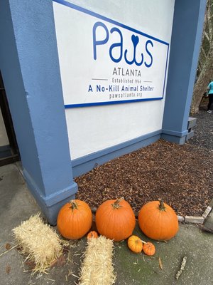 PAWS Atlanta by null