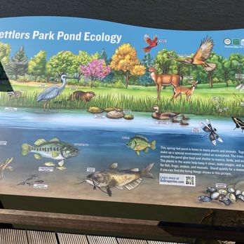 Settlers Park - Parks Near Me - Grapevine, Texas