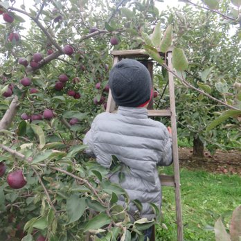 Mountain Orchards - Fruits & Veggies Near Me - Mountain, Ontario