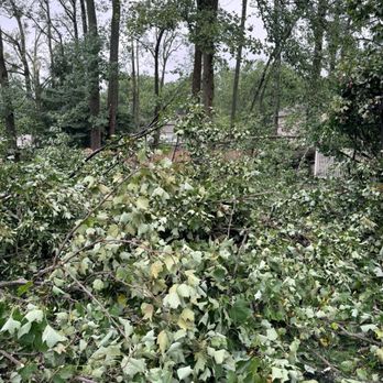 Smart Tree Service - Damage immediately after the storm - Tree Services Near Me - Lindenwold, New Jersey