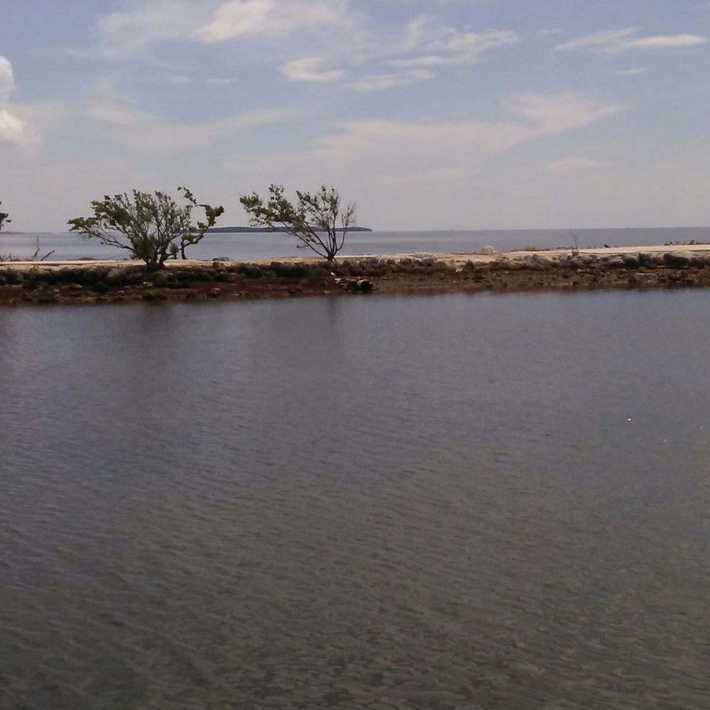 Harry Harris Park - Parks Near Me - Key Largo, Florida Harry Harris Park - Parks Near Me - Key Largo, Florida
