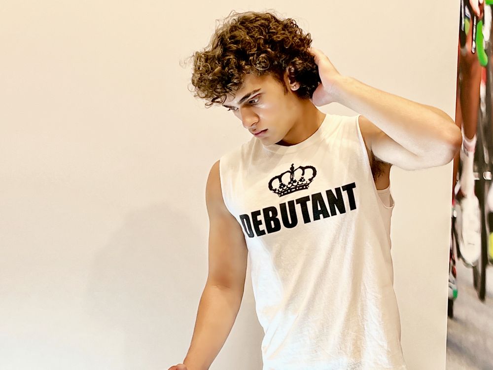 Debut Industries Logo