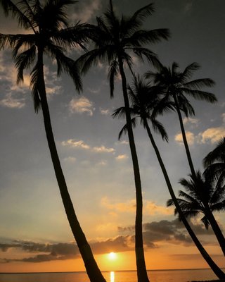 Moloka‘i Shores by null