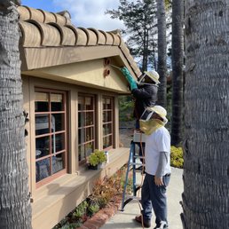 Working on the hive